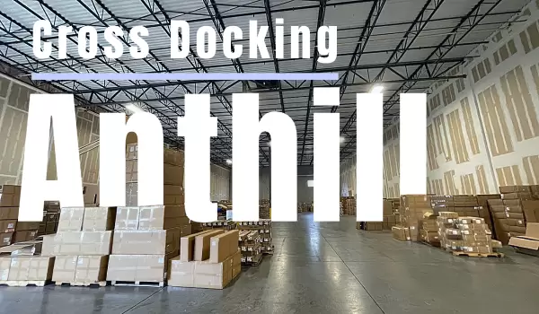 Anthill Cross Docking